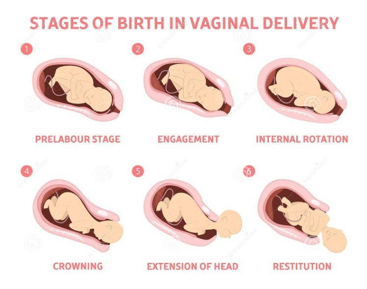 كيف تكون حركة الجنين قبل الولادة بساعات