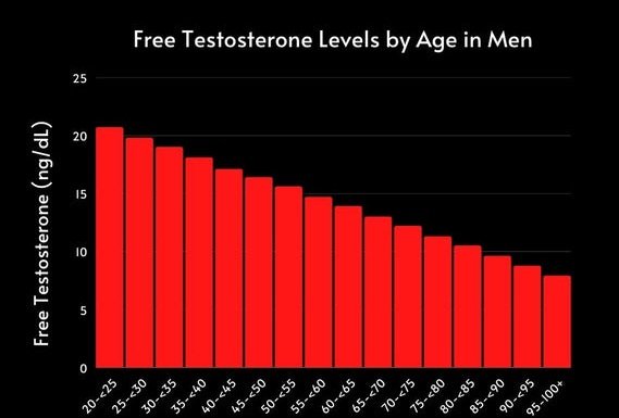 نسبة هرمون التستوستيرون الطبيعية عند الرجل ng/ml
